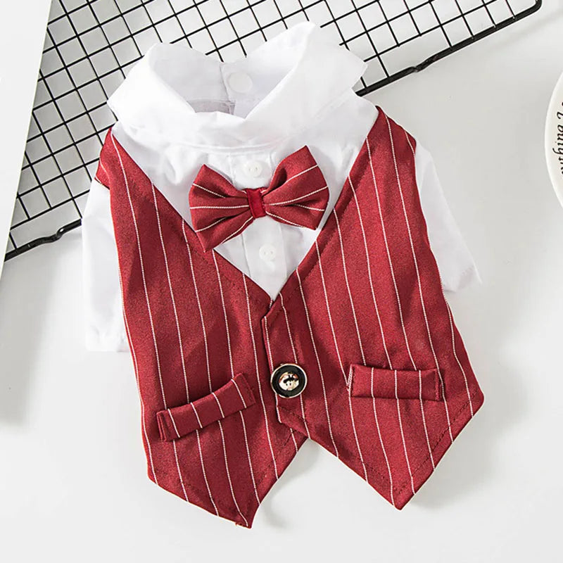 Roupa Social para Gato com Gravata Borboleta