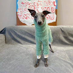 Casaco De Lã Para Cachorro Galgo - Veloz R - ROUPA - LNR2Y