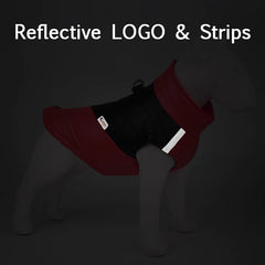 Colete Puffer Bicolor com D-Ring Metálico para Cães