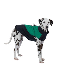 Colete Impermeável e Refletivo para Cães no Frio — Boreal