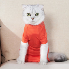 Roupa de Recuperação Pet Anatômica para Pós-Cirurgia ou Castração