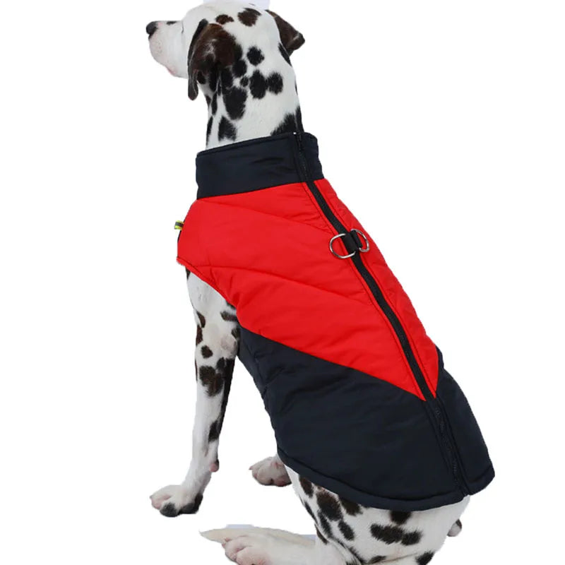Corta Vento Para Cachorro Com Suporte Para Guia - Finn R - ROUPA - 42