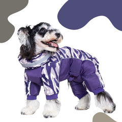 Roupinha Estilo Bomber para Pet com Design Casual