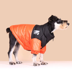 Jaqueta Softshell Pet para Cães e Gatos com Logo NB e Ajuste Anatômico
