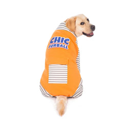 Roupinha Casual com Manga Longa – Ideal para Cães de Médio e Grande Porte