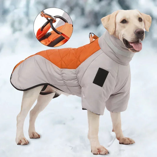 Roupa de Inverno Pet com Design Esportivo e Forro Térmico