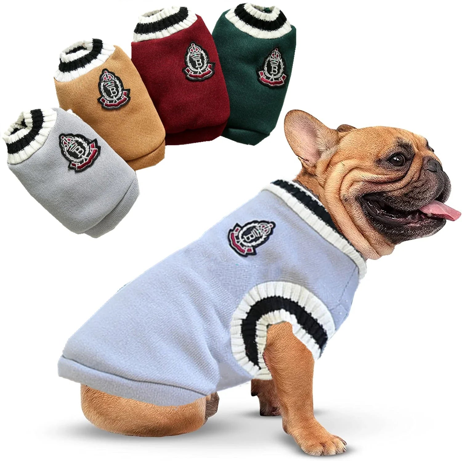 Moletom Universitário Para Pet R - ROUPA - 74