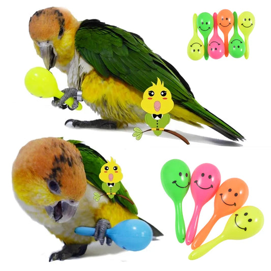 Brinquedo Interativo com Chocalho para Pássaros 3 peças P - PASSAROS - 07 QWE