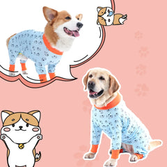 Roupa Feminina para Cachorro com Estampa Romântica