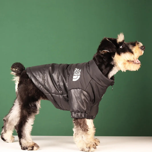 Roupinha Para Cachorro Dog Face R - ROUPA - 69