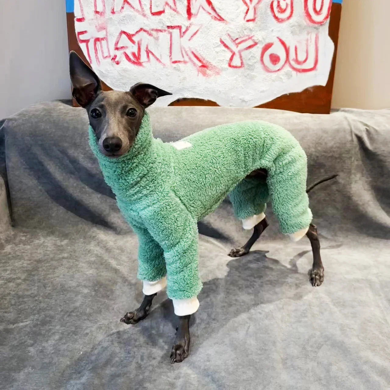 Casaco De Lã Para Cachorro Galgo - Veloz R - ROUPA - LNR2Y