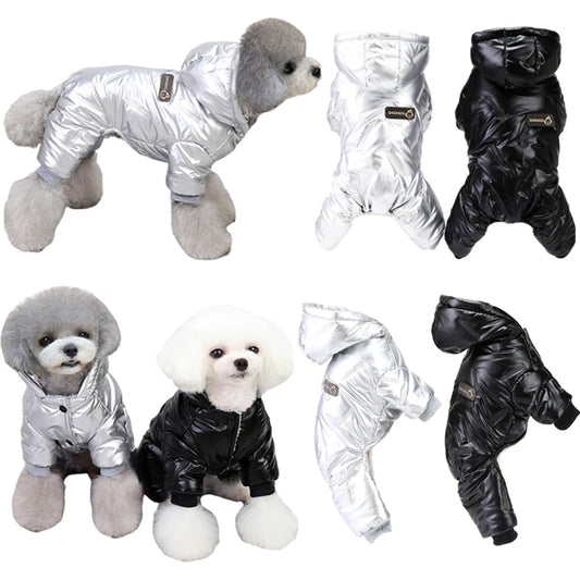 Roupa Térmica para Cães com Estilo Prático e Seguro