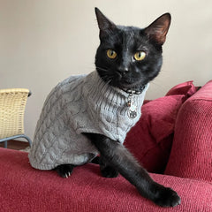 Suéter Para Gato Em Tricô Grosso Com Textura Trançada