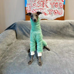 Casaco De Lã Para Cachorro Galgo - Veloz R - ROUPA - LNR2Y