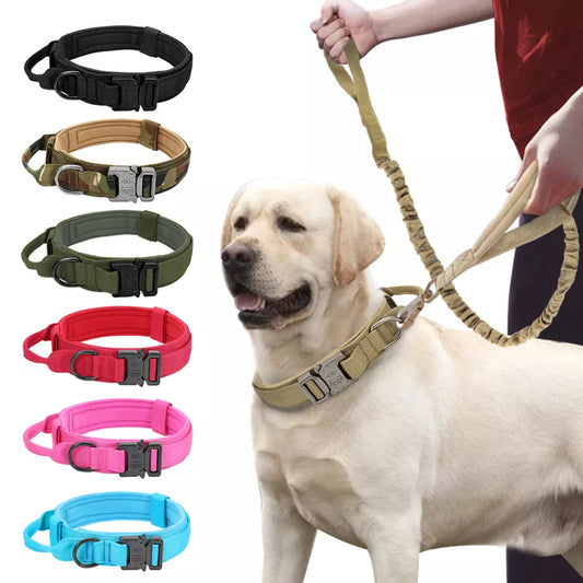 Coleira e Guia de Treinamento para Cachorro C - COLEIRA E GUIA