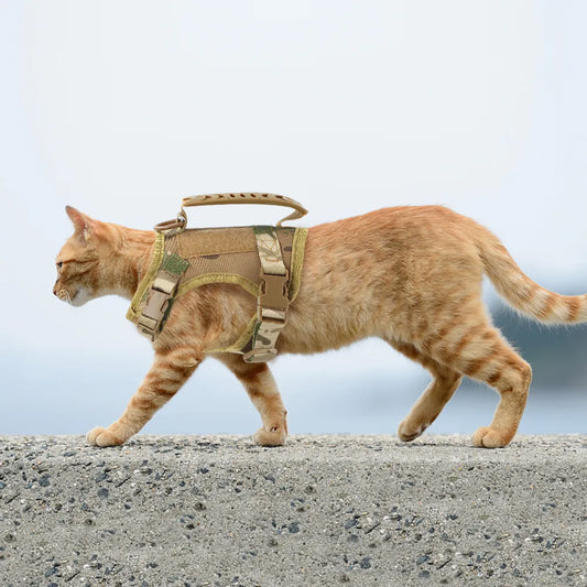 Colete de Treinamento para Gatos e Cães Pequenos C - PEITORAL - 09