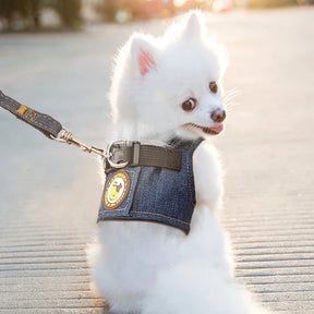 Colete Peitoral Jeans Para Cães