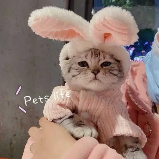 Fantasia Pet de Coelho com Orelhas 3D Pelúcia Rosa Super Macia