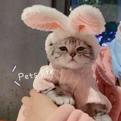 Fantasia Pet de Coelho com Orelhas 3D Pelúcia Rosa Super Macia