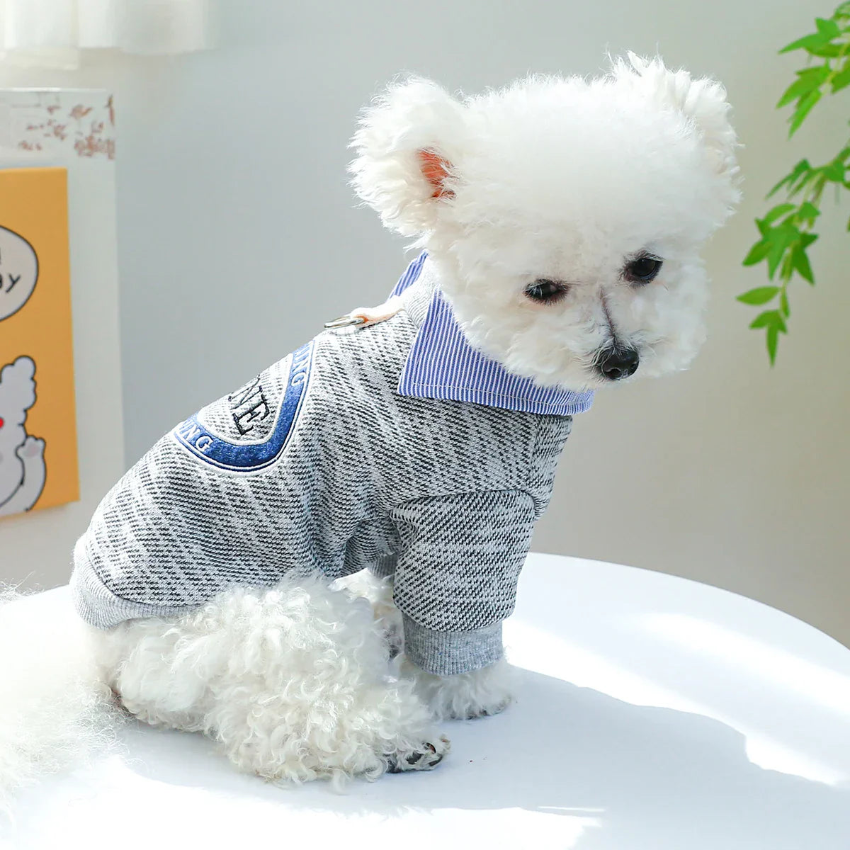 Moletom Com Gola Para Cães - Gus R - ROUPA - 39