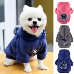 Moletom com Capuz PomPom Para Cachorro - Bello R - ROUPA - 73