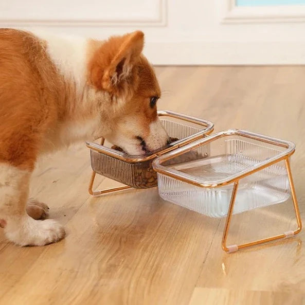 Tigela Dupla Transparente para Gatos e Cães - DuoPet C - BEBEDOURO GATO - 01