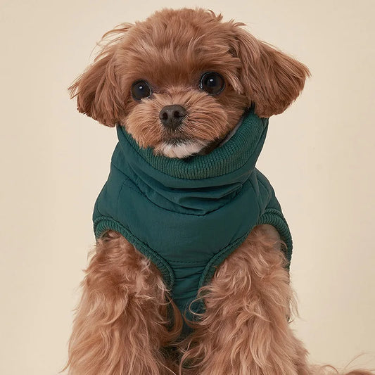Colete Acolchoado para Cães Pequenos — Nórdico Pet