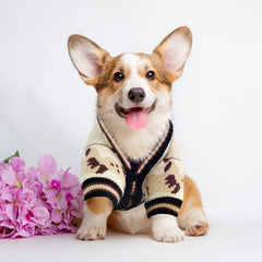 Cardigã para cachorro estampa de urso tecido tricotado