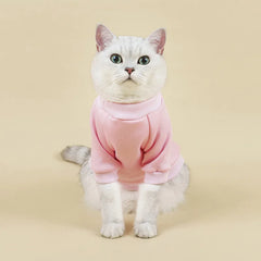 Camiseta Para Gatos Em Algodão Cores Sólidas E Caimento Leve