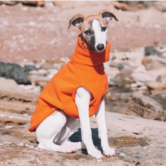 Colete Quente Para Cachorro Galgo