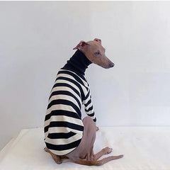 Roupa Listrada Para Cachorro Galgo - Flash R - ROUPA - 96