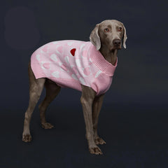 Suéter de Inverno para Cachorro com Estampa de Coração