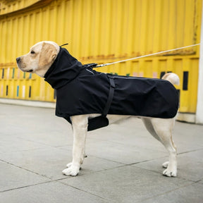 Roupa de Chuva para Labrador