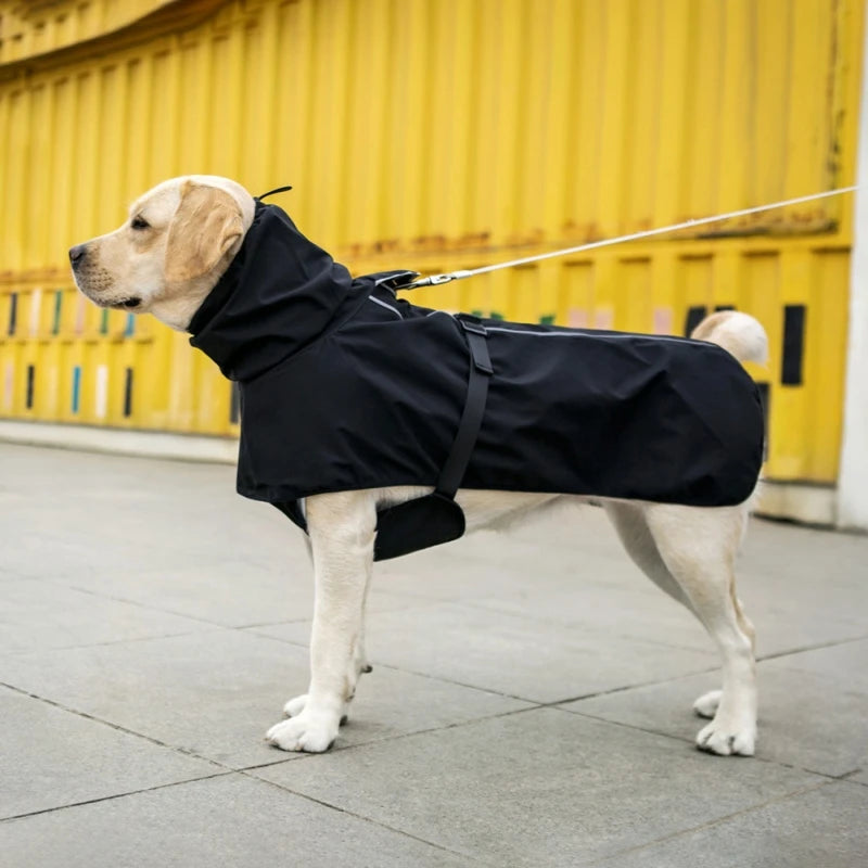 Roupa de Chuva para Labrador