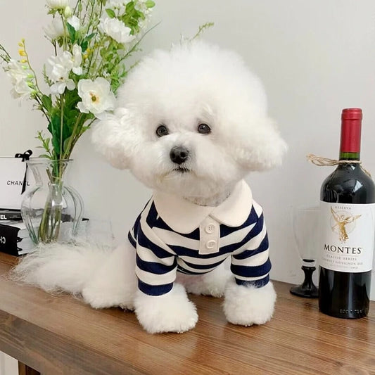 Camiseta Para Cachorro Polo Listrada Com Gola Social
