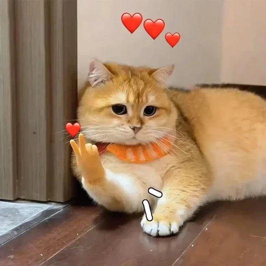 Dedinho de Borracha para Gato Interagir