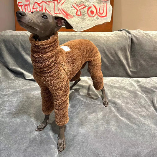 Roupa de Inverno Para Cachorro Galgo - Bolt R - ROUPA - 99