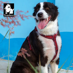 Peitoral Reflexivo Antipuxão Luna LN6371 C - COLEIRA - 15