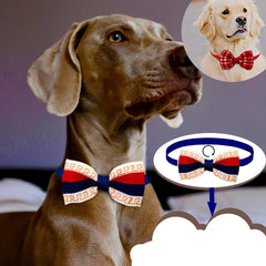 Gravata Borboleta para Cães Luna LN738 Multicores Gravata P5