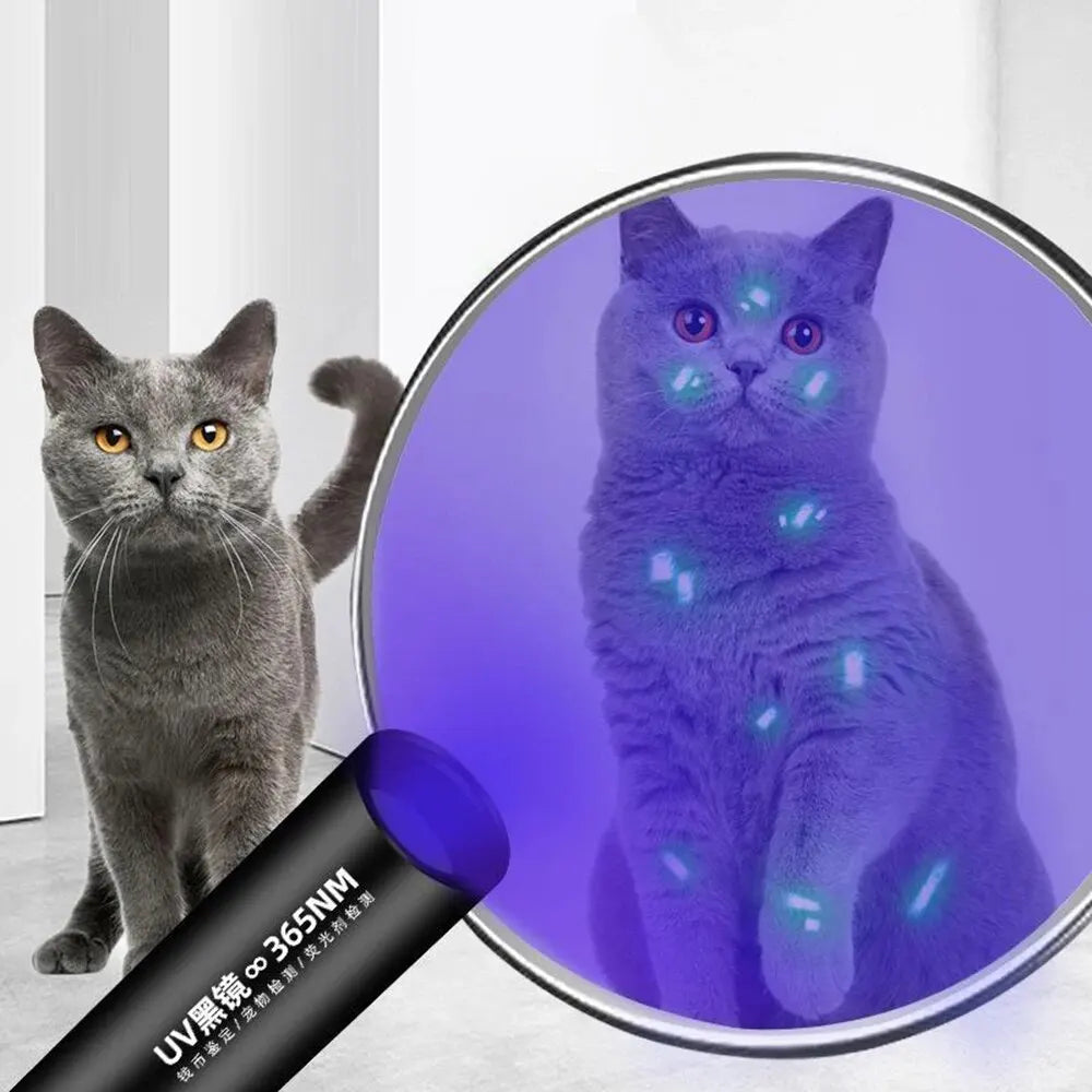 Luz de Detecção de Fungos UV para Pet