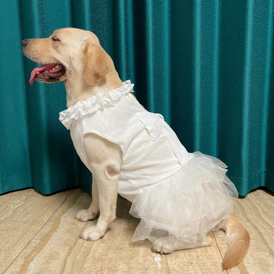 Vestido Branco para Cachorro com Saia Rodada e Renda