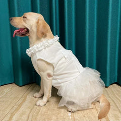 Vestido Branco para Cachorro com Saia Rodada e Renda