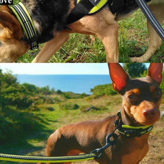 Coleira para Cachorro Refletiva Luna LN730 C - COLEIRA - 28