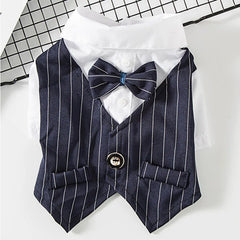 Roupa Social para Gato com Gravata Borboleta