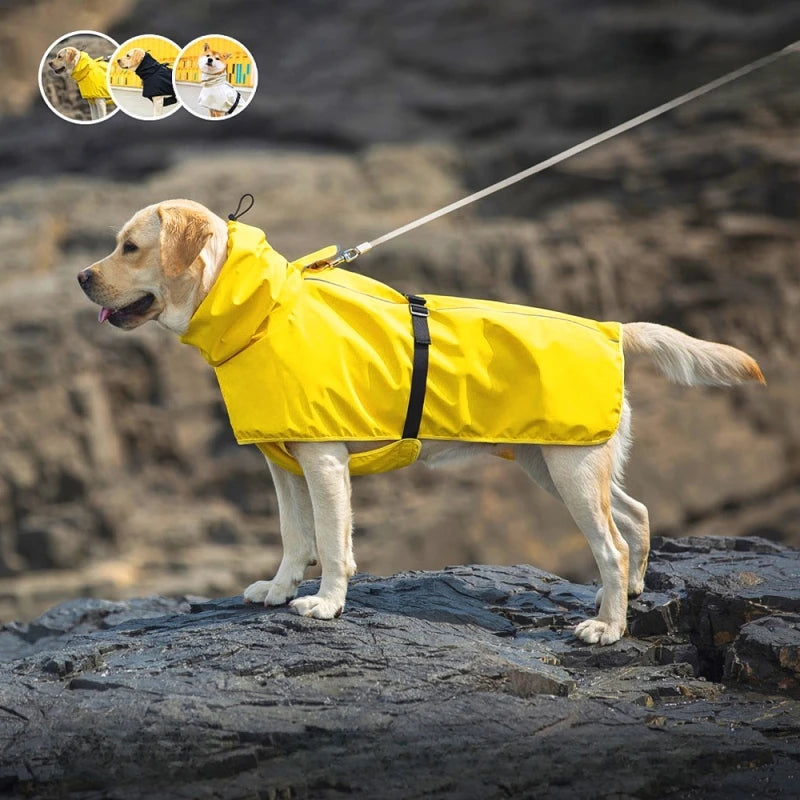 Roupa de Chuva para Labrador