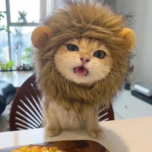 Peruca de leão para gatos e cachorro C - PERUCA - 01