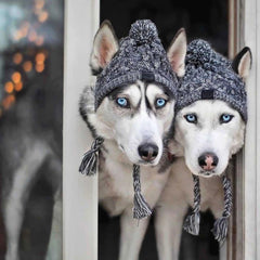 Gorro Para Cachorro Em Tricô Com Pompom E Protetor De Orelhas