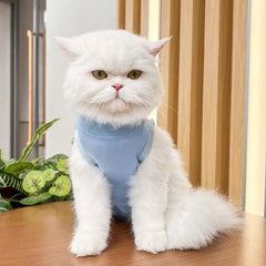Roupa Pós-Cirúrgica para Gatos Colorida Confortável e Respirável