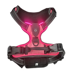 Peitoral com LED Recarregável para Cães Segurança Noturna