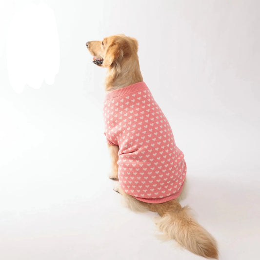 Roupa Estampada de Inverno para Cães